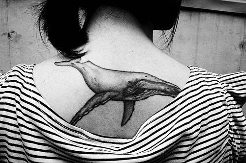 story behind the decision to get Squid V Whale tattooed on one's chest.